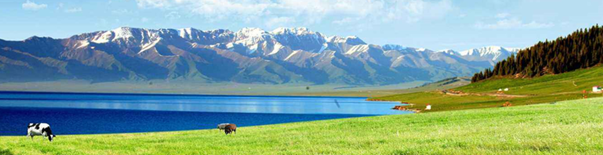 pp酸霧凈化塔廠家